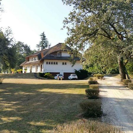 Bed and Breakfast La Belle Chaumière à Bretagne-de-Marsan Extérieur photo